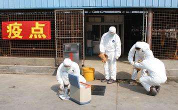 如何預(yù)防動物疫??？